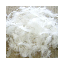 杭州三星羽绒制品有限公司-白鹅绒(水洗好的可以直接充被子或羽绒服)